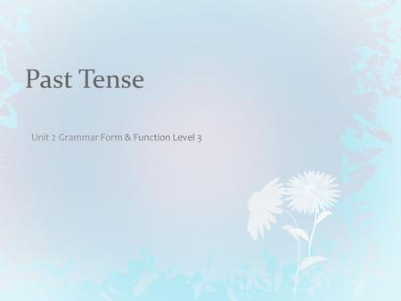 Unit 2 Grammar Form & Function Level 3