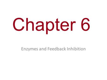 Enzymes and Feedback Inhibition