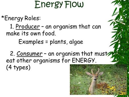 Energy Flow *Energy Roles:
