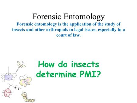 How do insects determine PMI?