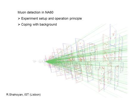 Muon detection in NA60  Experiment setup and operation principle  Coping with background R.Shahoyan, IST (Lisbon)