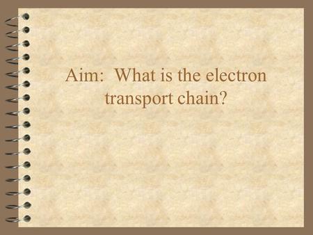 Aim: What is the electron transport chain?