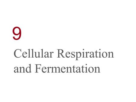 9 Cellular Respiration and Fermentation.