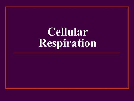 Cellular Respiration. What is Cellular Respiration? Cellular respiration is a catabolic pathway in which oxygen is consumed along with organic fuel. In.