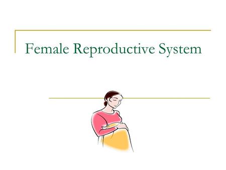 Female Reproductive System. Signs of Puberty Breasts develop Period begins Hips widen Body hair develops.
