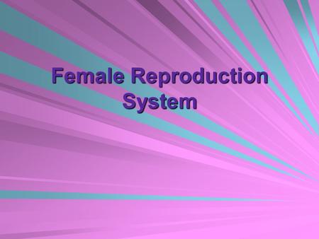 Female Reproduction System. 1. What is the female gamete (sex cell)? The egg or ovum.