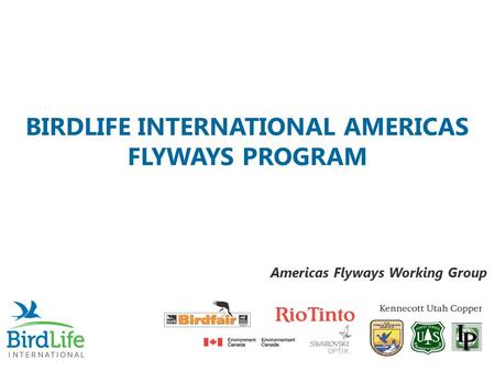 BIRDLIFE INTERNATIONAL AMERICAS FLYWAYS PROGRAM Americas Flyways Working Group.