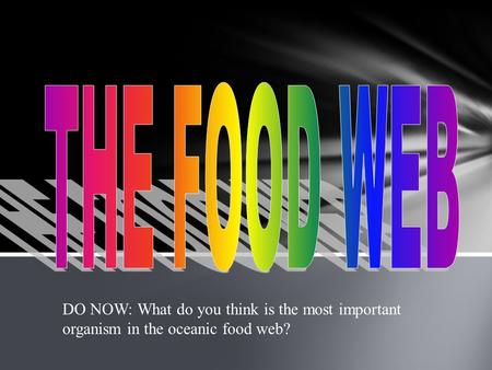 THE FOOD WEB DO NOW: What do you think is the most important