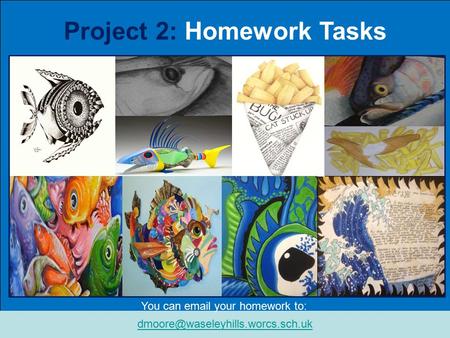 Project 2: Homework Tasks