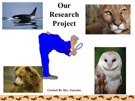 Our Research Project Created By Mrs. Saracino Research? re search To look over carefully… To find something…