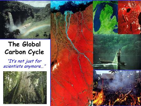 The Global Carbon Cycle “It’s not just for scientists anymore…”