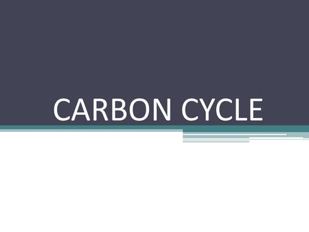 CARBON CYCLE.