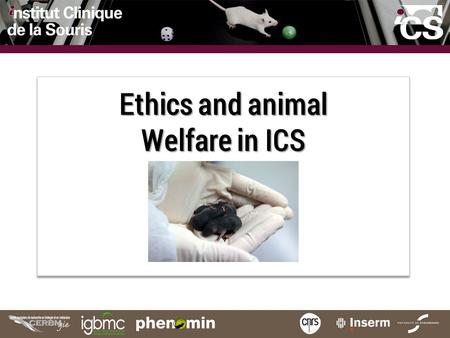 Ethics and animal Welfare in ICS. Titre de la diapositive exemple 1 ICS cares about animal welfare. Our scientific results totally rely on animals, that's.