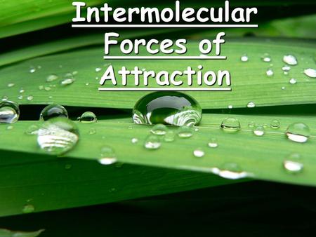 Intermolecular Forces of Attraction. Intermolecular Forces Forces that attract molecules to other molecules. These include:  Forces that attract molecules.