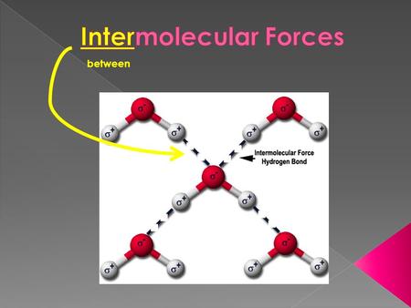 Between.  Intra- › strong forces that hold the atoms in a molecule together  e.g. – it takes 464 kJ/mol to break the H-O bonds within a water molecule.