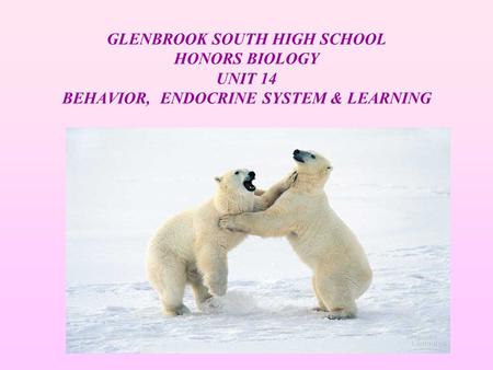 GLENBROOK SOUTH HIGH SCHOOL HONORS BIOLOGY UNIT 14 BEHAVIOR, ENDOCRINE SYSTEM & LEARNING.