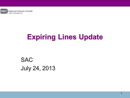 Expiring Lines Update SAC July 24, 2013 1. Agenda  Current Situation  NBS Final Close Program  Revised YE Schedule 2.