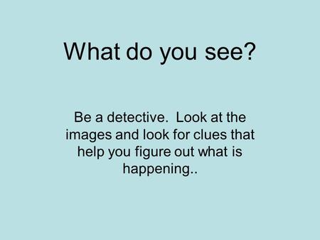 What do you see? Be a detective. Look at the images and look for clues that help you figure out what is happening..