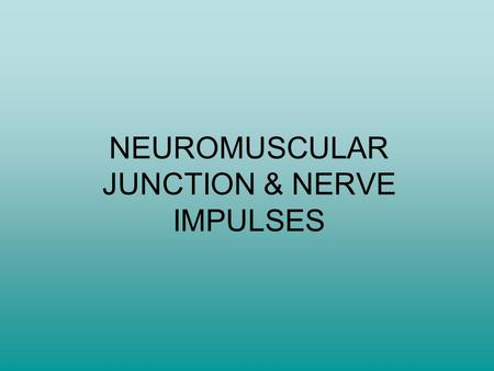 NEUROMUSCULAR JUNCTION & NERVE IMPULSES. Characteristics of Muscle Tissue 1)Irritability: ability to respond to a stimulus 2)Contractility: ability to.