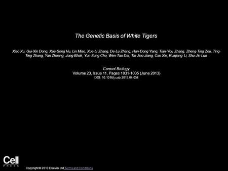 The Genetic Basis of White Tigers Xiao Xu, Gui-Xin Dong, Xue-Song Hu, Lin Miao, Xue-Li Zhang, De-Lu Zhang, Han-Dong Yang, Tian-You Zhang, Zheng-Ting Zou,