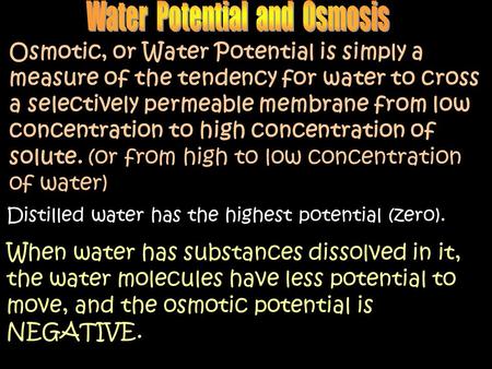 Osmotic, or Water Potential is simply a measure of the tendency for water to cross a selectively permeable membrane from low concentration to high concentration.