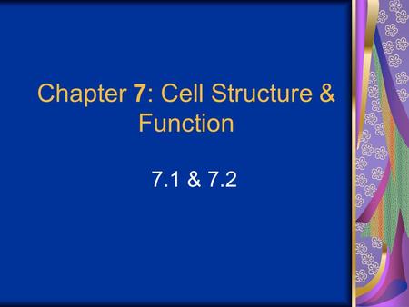 Chapter 7: Cell Structure & Function 7.1 & 7.2. Discovering the Cell For a long time, we didn’t know cells existed. They were too small to see with the.
