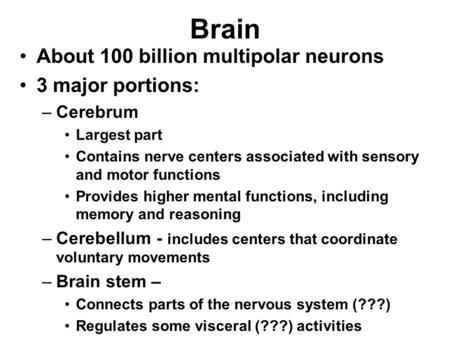 Brain About 100 billion multipolar neurons 3 major portions: –Cerebrum Largest part Contains nerve centers associated with sensory and motor functions.