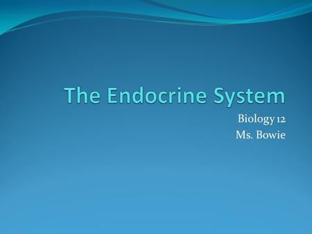 The Endocrine System Biology 12 Ms. Bowie.