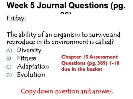 Week 5 Journal Questions (pg. 36)