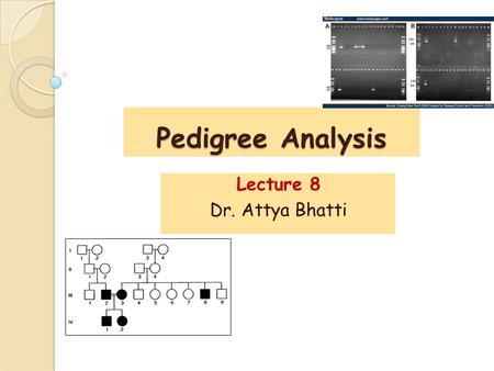Lecture 8 Dr. Attya Bhatti