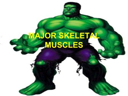 MAJOR SKELETAL MUSCLES