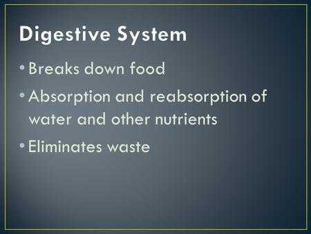 Breaks down food Absorption and reabsorption of water and other nutrients Eliminates waste.