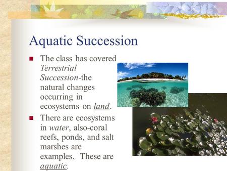 Aquatic Succession The class has covered Terrestrial Succession-the natural changes occurring in ecosystems on land. There are ecosystems in water, also-coral.