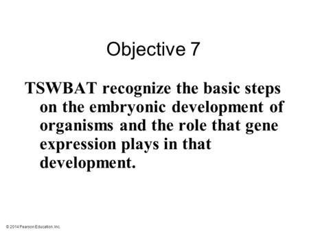 Objective 7 TSWBat recognize the basic steps on the embryonic development of organisms and the role that gene expression plays in that development.
