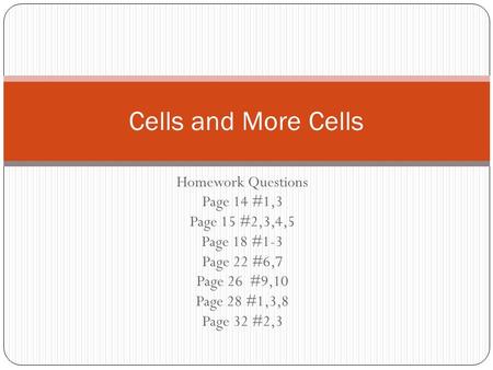 Homework Questions Page 14 #1,3 Page 15 #2,3,4,5 Page 18 #1-3 Page 22 #6,7 Page 26 #9,10 Page 28 #1,3,8 Page 32 #2,3 Cells and More Cells.