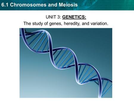 UNIT 3: GENETICS: The study of genes, heredity, and variation.