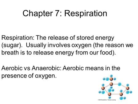 Chapter 7: Respiration Respiration: The release of stored energy (sugar). Usually involves oxygen (the reason we breath is to release energy from our food).