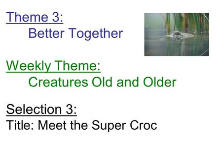 Theme 3: Better Together Weekly Theme: Creatures Old and Older Selection 3: Title: Meet the Super Croc.
