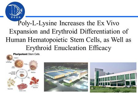 Poly-L-Lysine Increases the Ex Vivo Expansion and Erythroid Differentiation of Human Hematopoietic Stem Cells, as Well as Erythroid Enucleation Efficacy.