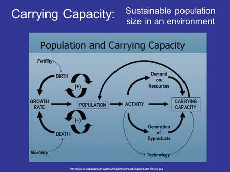 Carrying Capacity: Sustainable population size in an environment
