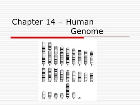 Chapter 14 – Human 				 Genome.