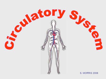 S. MORRIS 2006.  The circulatory system carries blood and dissolved substances to and from different places in the body.  The Heart has the job of pumping.