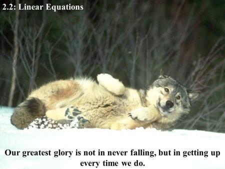2.2: Linear Equations Our greatest glory is not in never falling, but in getting up every time we do.