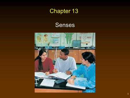 Chapter 13 Senses.