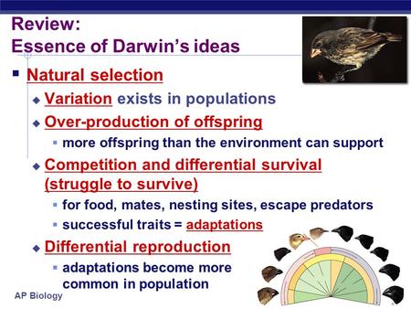 Review: Essence of Darwin’s ideas
