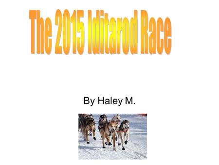 By Haley M. Welcome to my Iditarod slideshow hope you enjoy it.