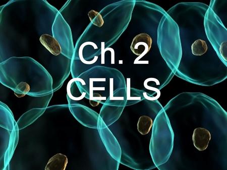 Ch. 2 CELLS.