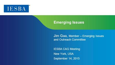 Page 1 | Confidential and Proprietary Information Emerging Issues Jim Gaa, Member – Emerging Issues and Outreach Committee IESBA CAG Meeting New York,