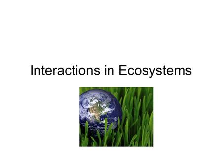 Interactions in Ecosystems. A habitat differs from a niche. A habitat is all aspects of the area in which an organism lives. –biotic factors –abiotic.