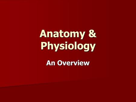 Anatomy & Physiology An Overview. Divisions Gross Anatomy – observation of large anatomical structures without the use of instrumentation or equipment.